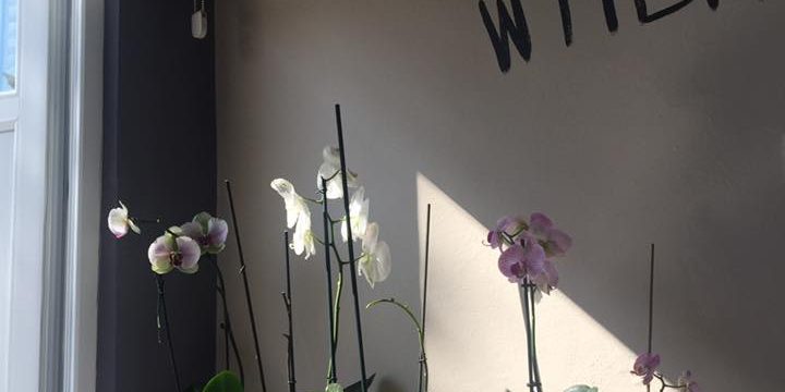 19105949_1377288675696592_4239771930627889877_n