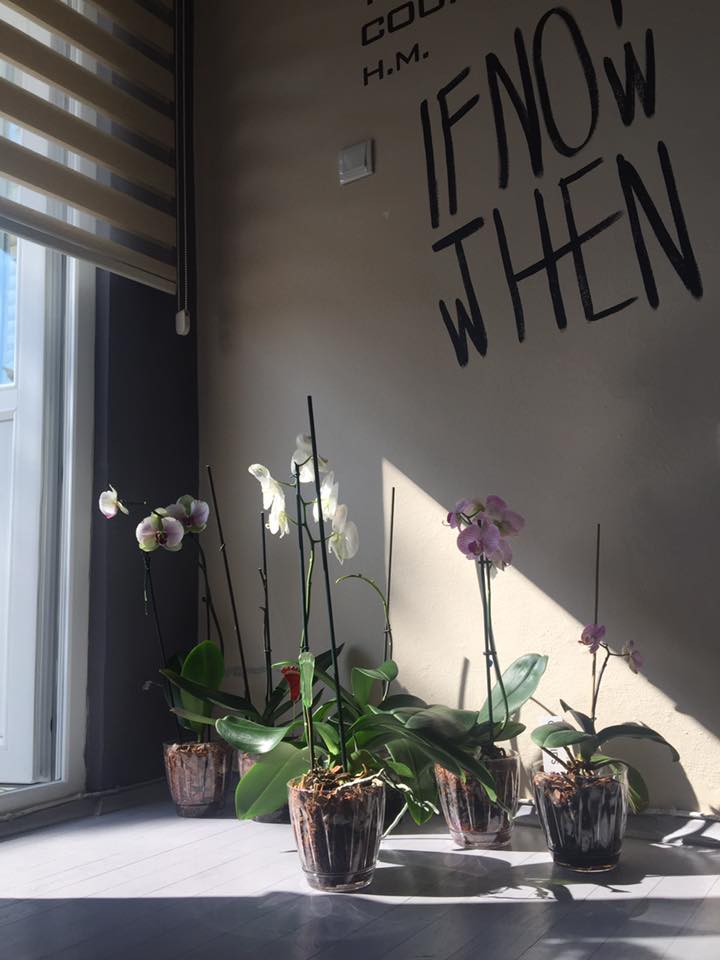 19105949_1377288675696592_4239771930627889877_n